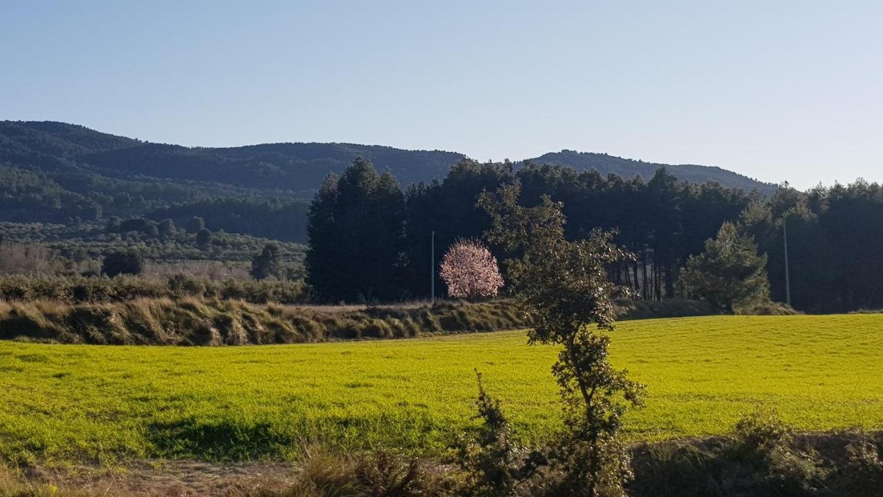Appartamento Rural Alfawara