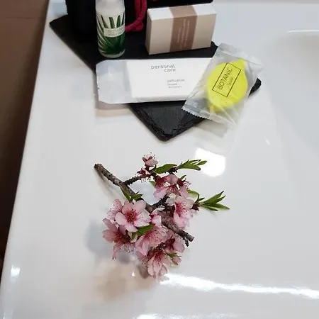 Apartamento Rural Alfawara Alfafara Buitenkant foto