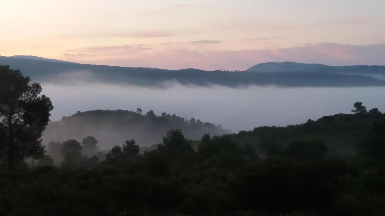 Rural Alfawara * Alfafara