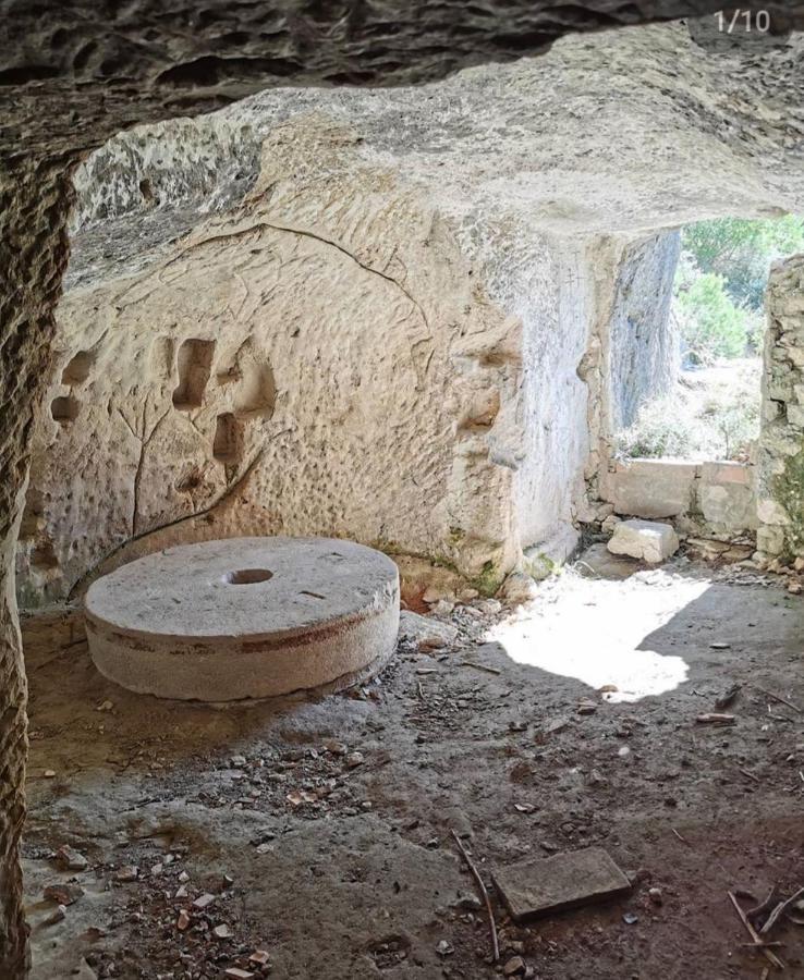 Rural Alfawara * Alfafara